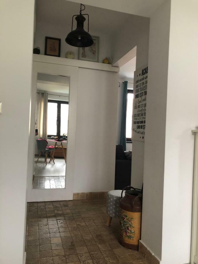 Vintage Apartment سوتْشافا المظهر الخارجي الصورة